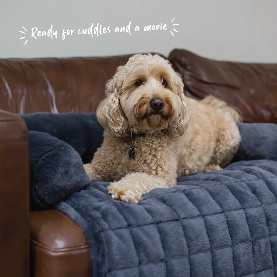 3-in-1 Couch n’ Car Cover Pet Bed - Dusk