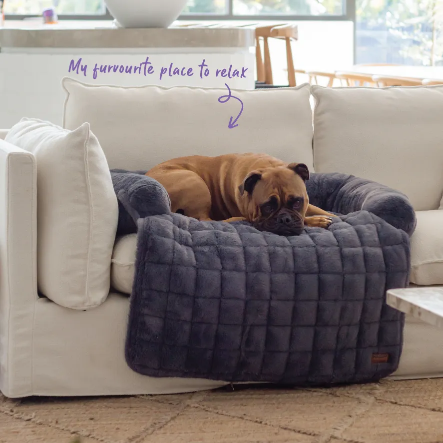 3-in-1 Couch n’ Car Cover Pet Bed - Dusk