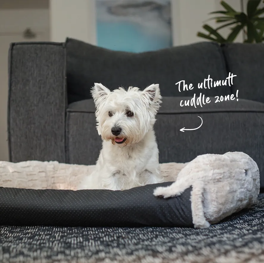 3-in-1 Couch n’ Car Cover Pet Bed - Honey