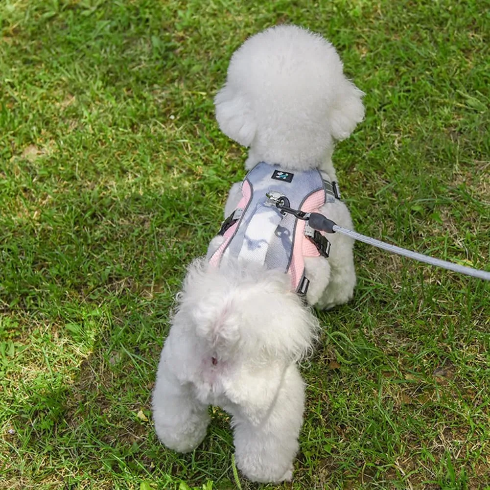 Adjustable Dog Cooling Vest, Dog Harness Cooler Jacket, Evaporative Cooling Vest for for Summer Hot Weather Outdoor (Blue-M)