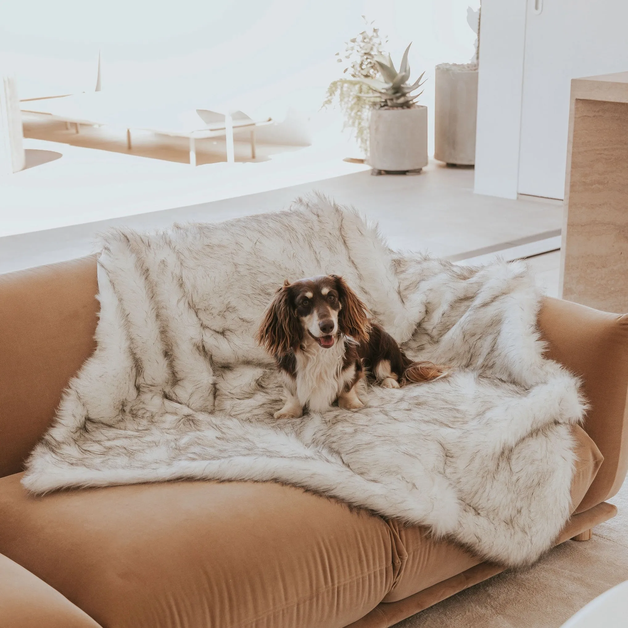 Deluxe Dog Throw Bundled