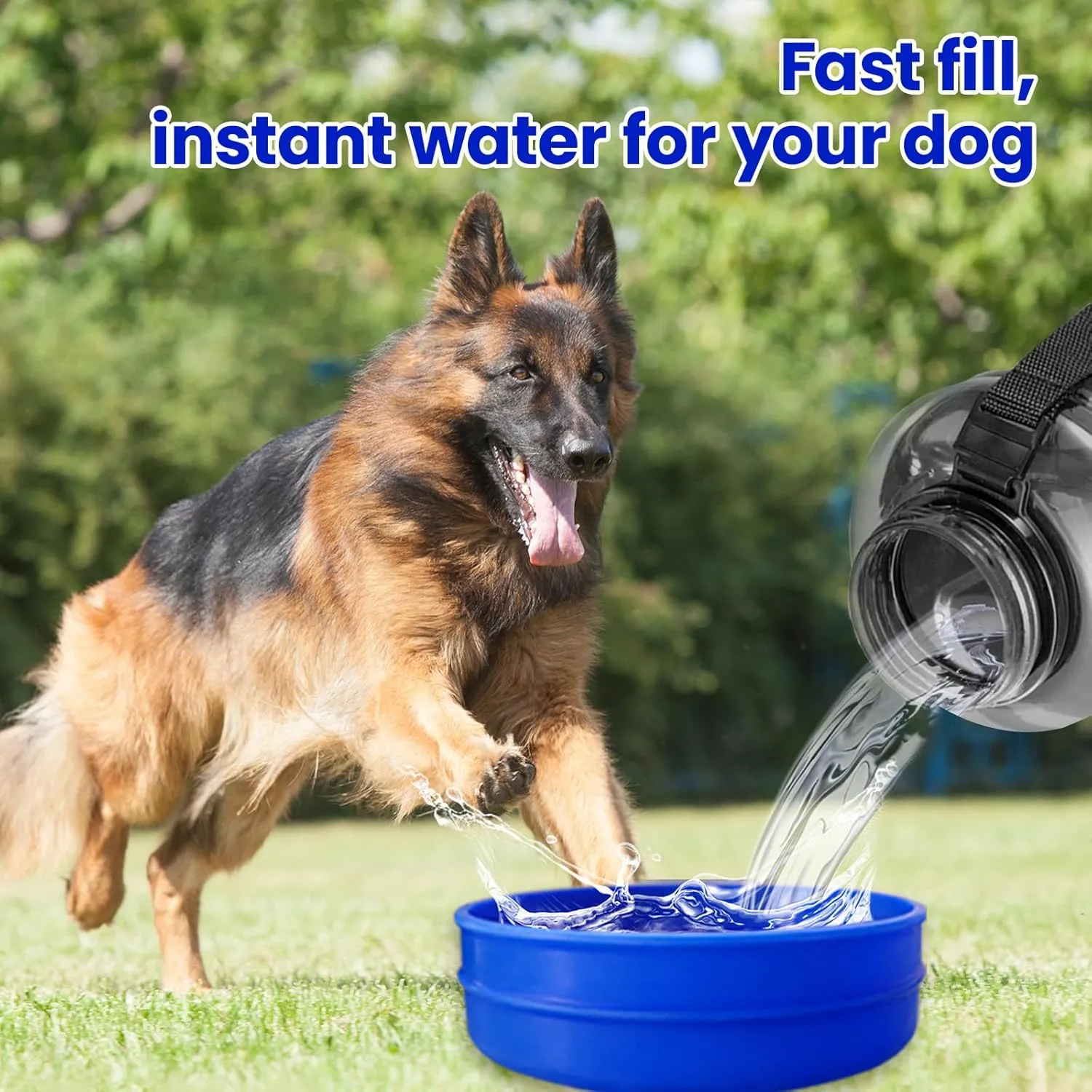 Dog Water Bottle and Bowl for Travel, 50OZ, Mega Capacity, Hydration for You & Your Pup, for Hunting, Hiking, Beach Camping, Park Walking (Blue)