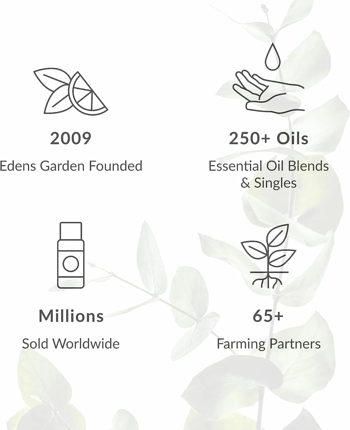 Edens Garden Deep Breath Essential Oil Roll-On Blend- 100% Pure Premium Grade, Natural, Therapeutic, Aromatherapy, Kid & Skin Safe, The Best for Wellness, Relaxation Pre-Diluted 10 ml (.33 fl oz)