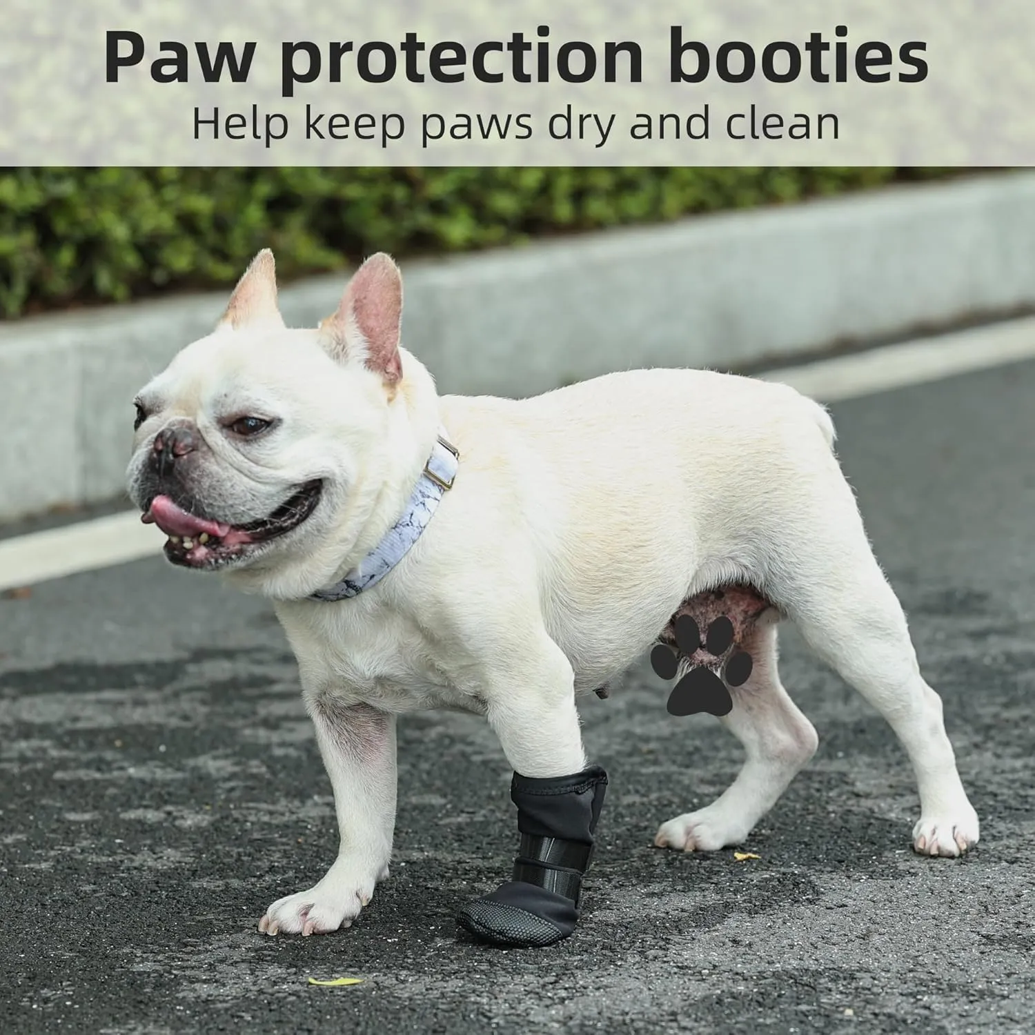 ETIAL Dog Paw Wound Recovery Boot, Breathable Dog Bootie for Injured Paw, Anti-Slip Dog Shoe with Self-Adhesive Strap, Dog Paw Protector for Outdoor Walking & Keep Dogs from Licking Wounds (M)