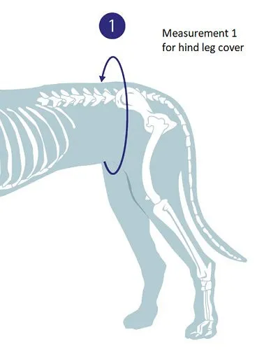Hind Limb Medical Protection Cover