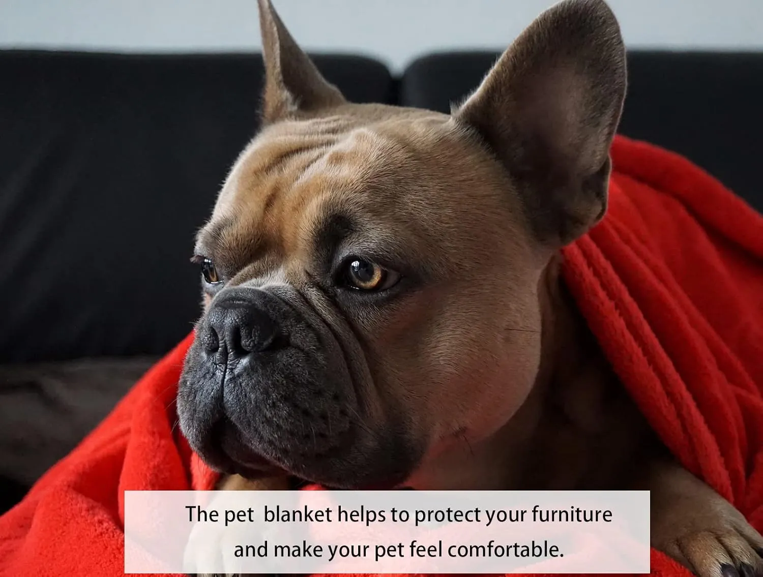 iMaylex Soft Puppy Flannel Fleece Blanket for Pet Dog Cat, Plush Microfiber, Cozy and Lightweight, Coffee, Pet, 19 x 27 inch (50 x 70 cm)