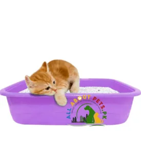 Kitten Starter Pack - Small Size, Digging Satisfaction, and Easy Cleanup