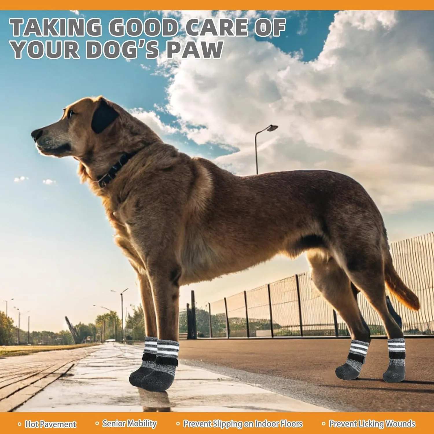 KOOLTAIL Anti Slip Dog Socks to Prevent Licking Paws for Hot/Clod Pavement,Waterproof Long Snow Dog Boots&Paw Protectors with Straps Traction Control for Hardwood Floor for Small Medium Large DogsM