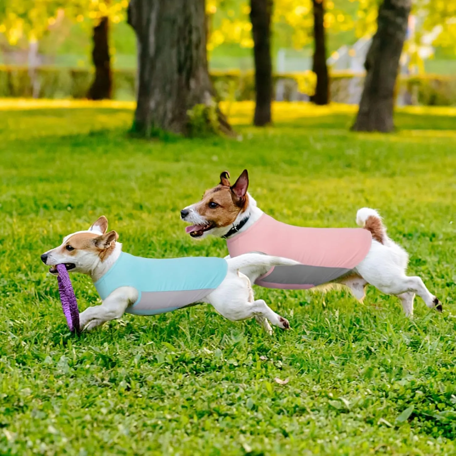 Kuoser Dog Cooling Vest, Sun Protection Puppy T-Shirts, Quick Dry Dog Summer Clothes for Medium Dogs Boy Girl Pink L