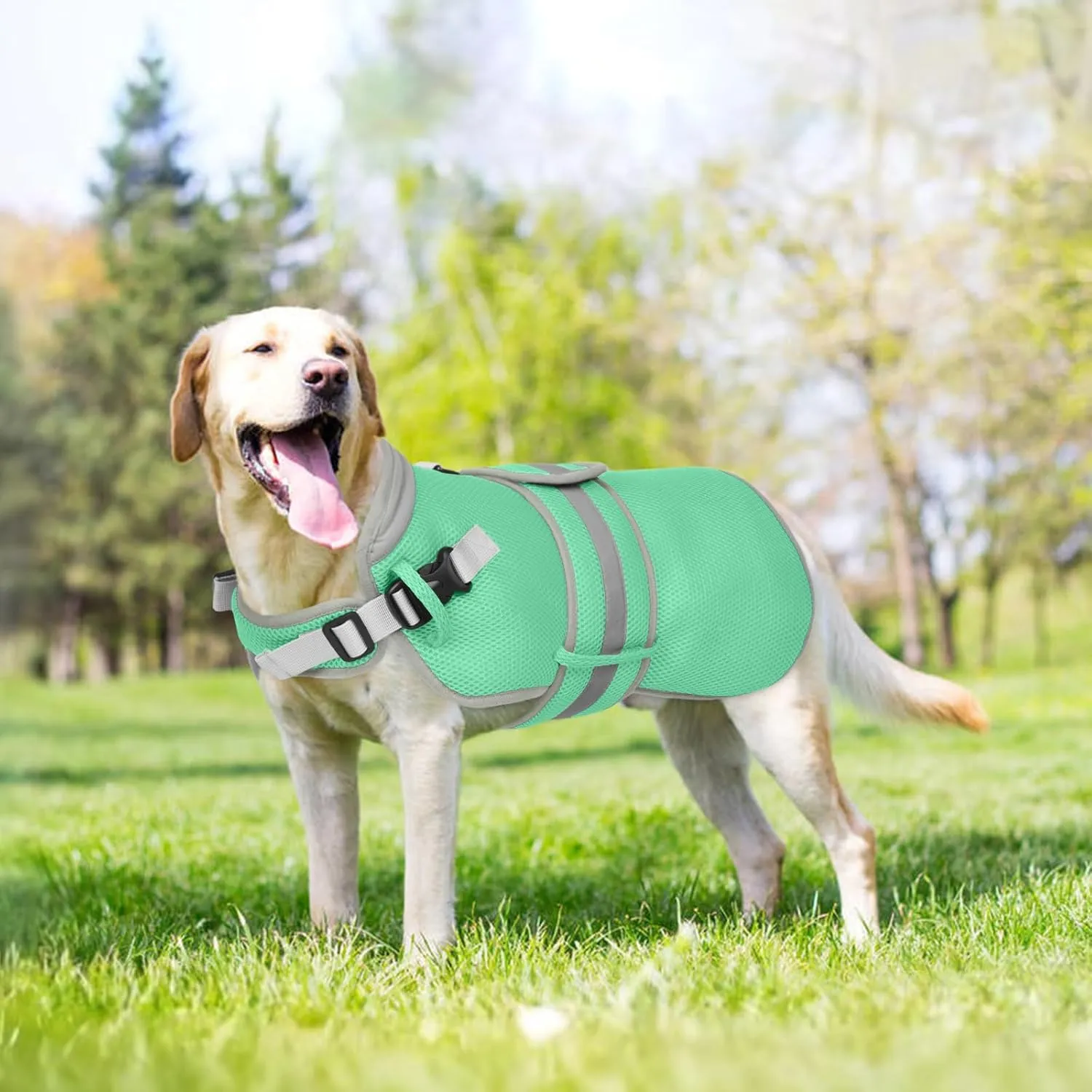 Lelepet Dog Cooling Vest for Large Dogs Lightweight Breathable Cooling Dog Vest with Adjustable Straps Summer Dogs Shirt Reflective Harness Vest with D-Rings for Hiking, Beach, Backyard, XXL, Green