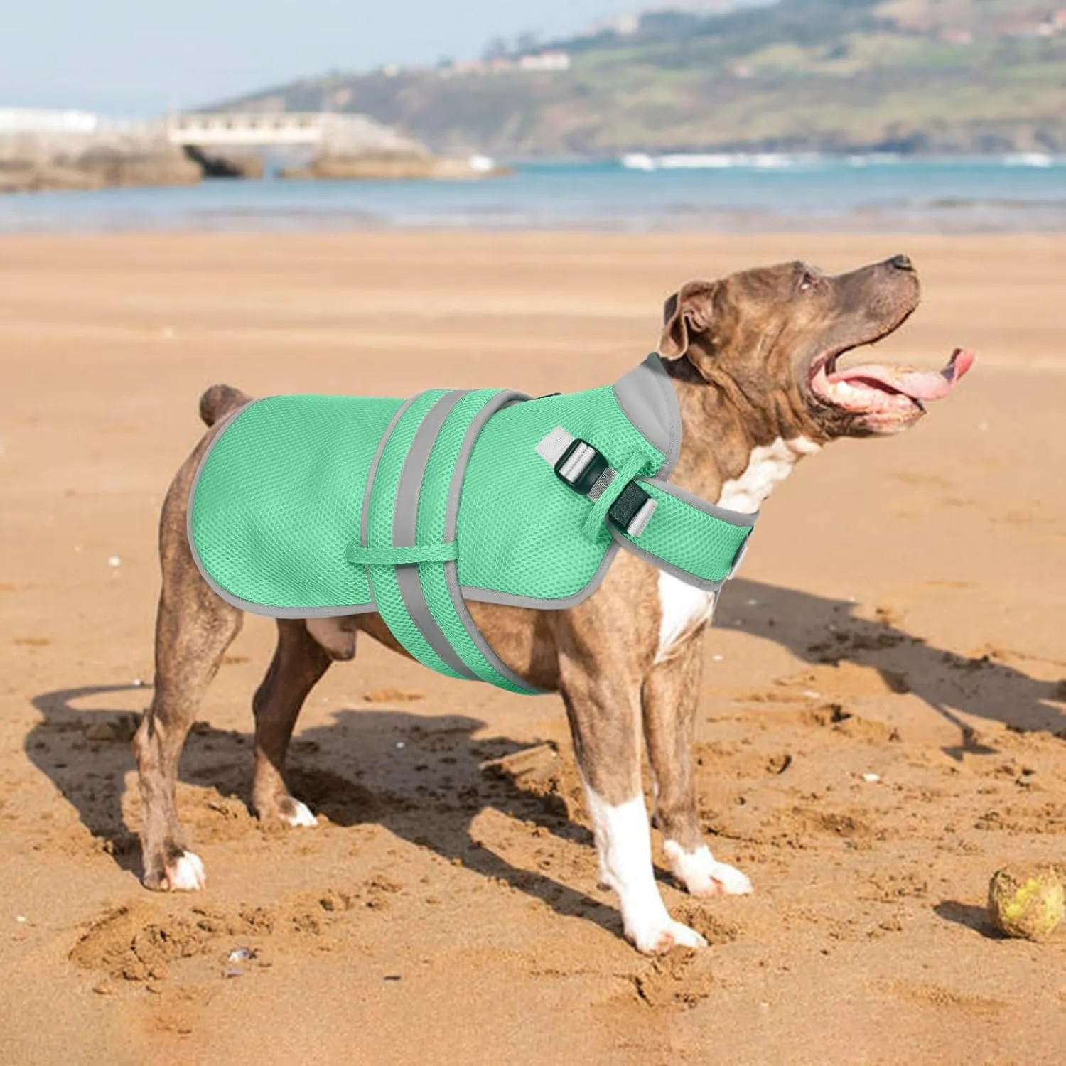 Lelepet Dog Cooling Vest for Large Dogs Lightweight Breathable Cooling Dog Vest with Adjustable Straps Summer Dogs Shirt Reflective Harness Vest with D-Rings for Hiking, Beach, Backyard, XXL, Green