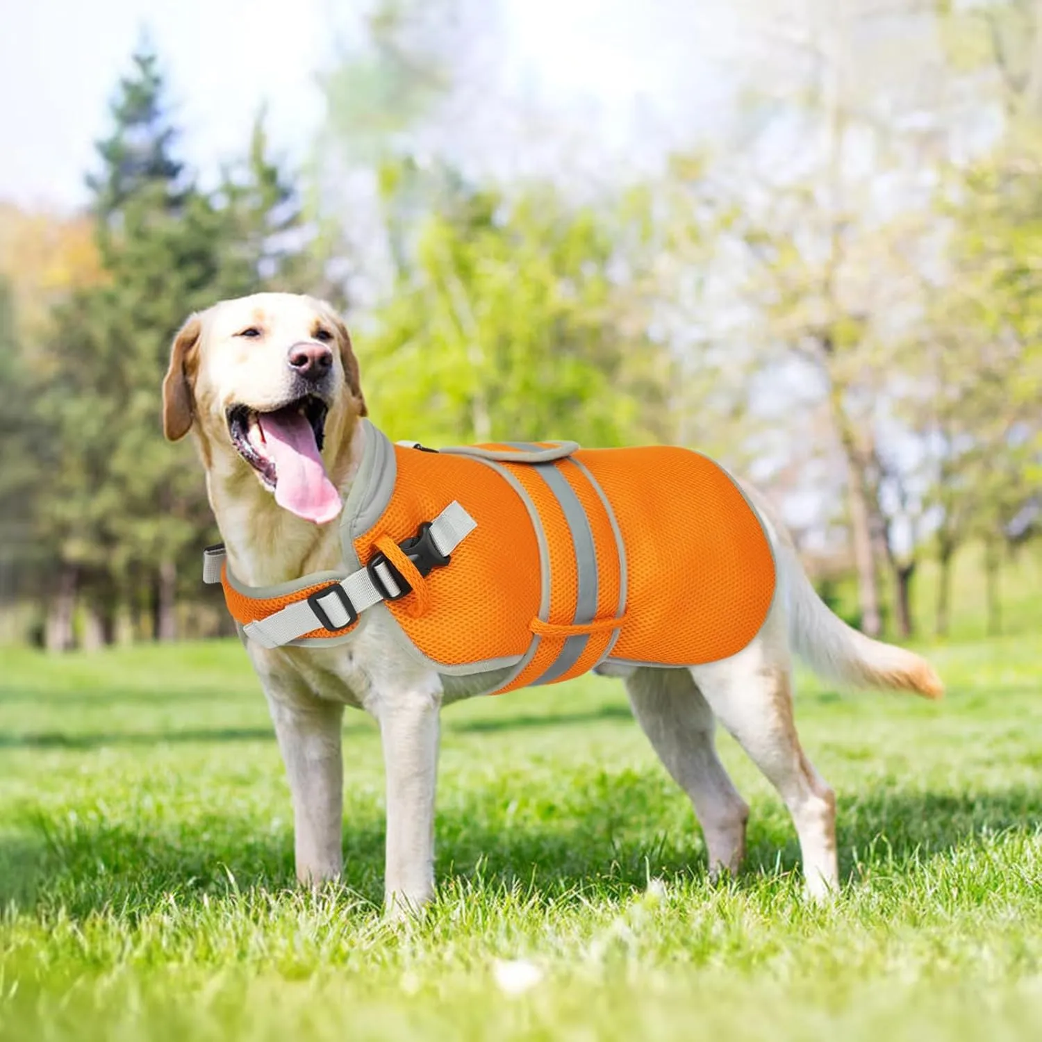 Lelepet Dog Cooling Vest for Large Dogs Lightweight Breathable Cooling Dog Vest with Adjustable Straps Summer Dogs Shirt Reflective Harness Vest with D-Rings for Hiking, Beach, Backyard, XXL, Orange