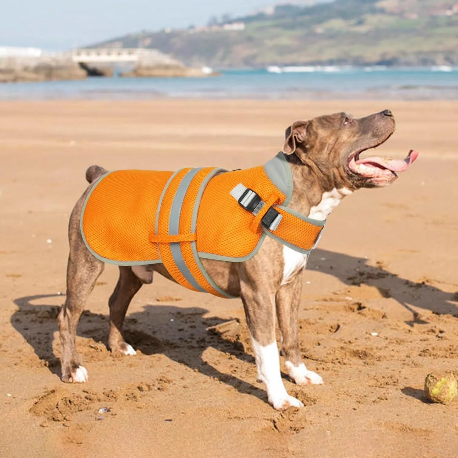Lelepet Dog Cooling Vest for Large Dogs Lightweight Breathable Cooling Dog Vest with Adjustable Straps Summer Dogs Shirt Reflective Harness Vest with D-Rings for Hiking, Beach, Backyard, XXL, Orange
