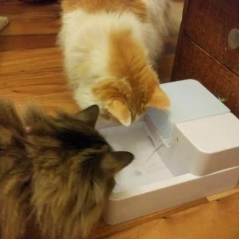 Max Cat Fountain Cat Water Purifier 1.8L LED Automatic