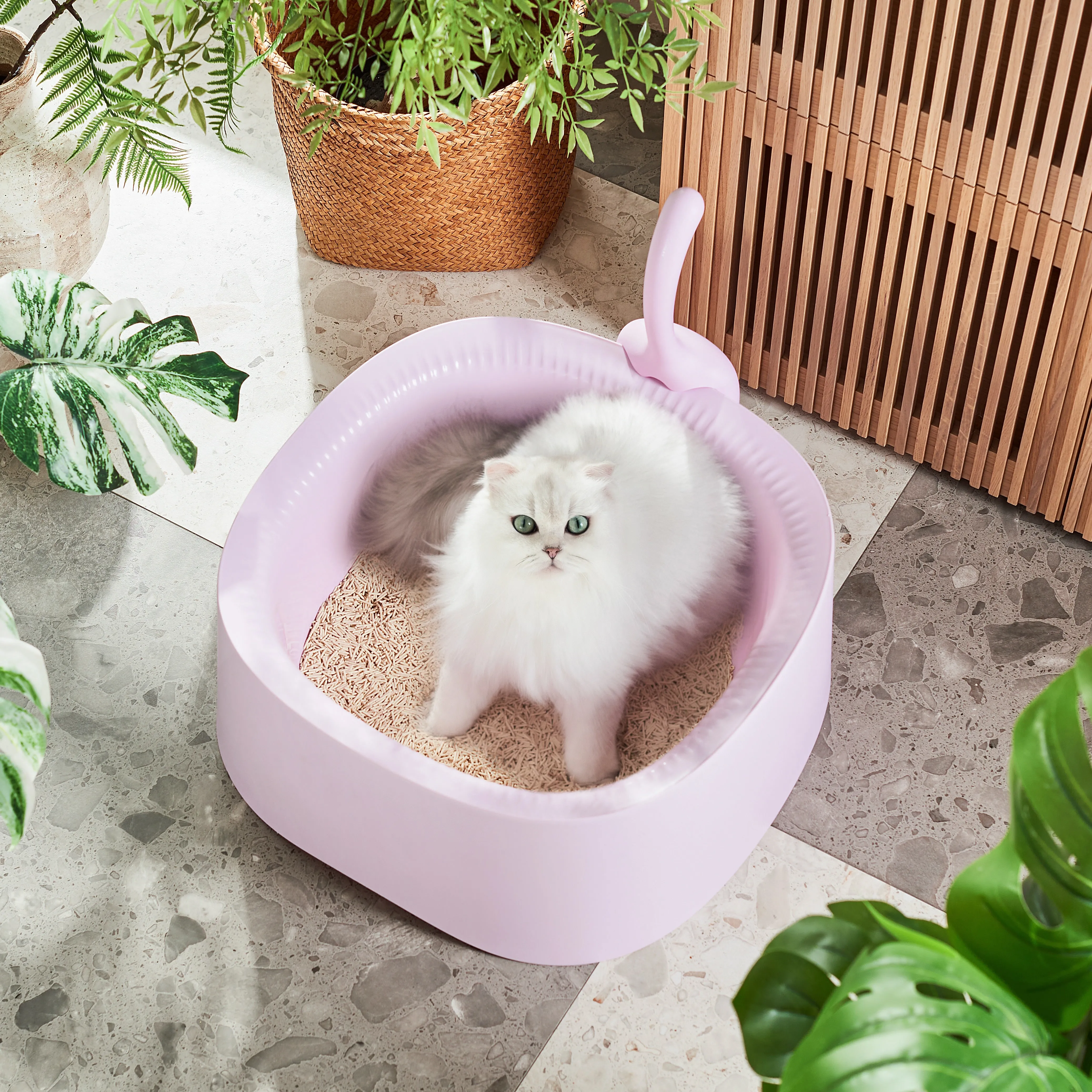 Michu Macaron Open High Edge Extra Large Cat Litter Box Taro