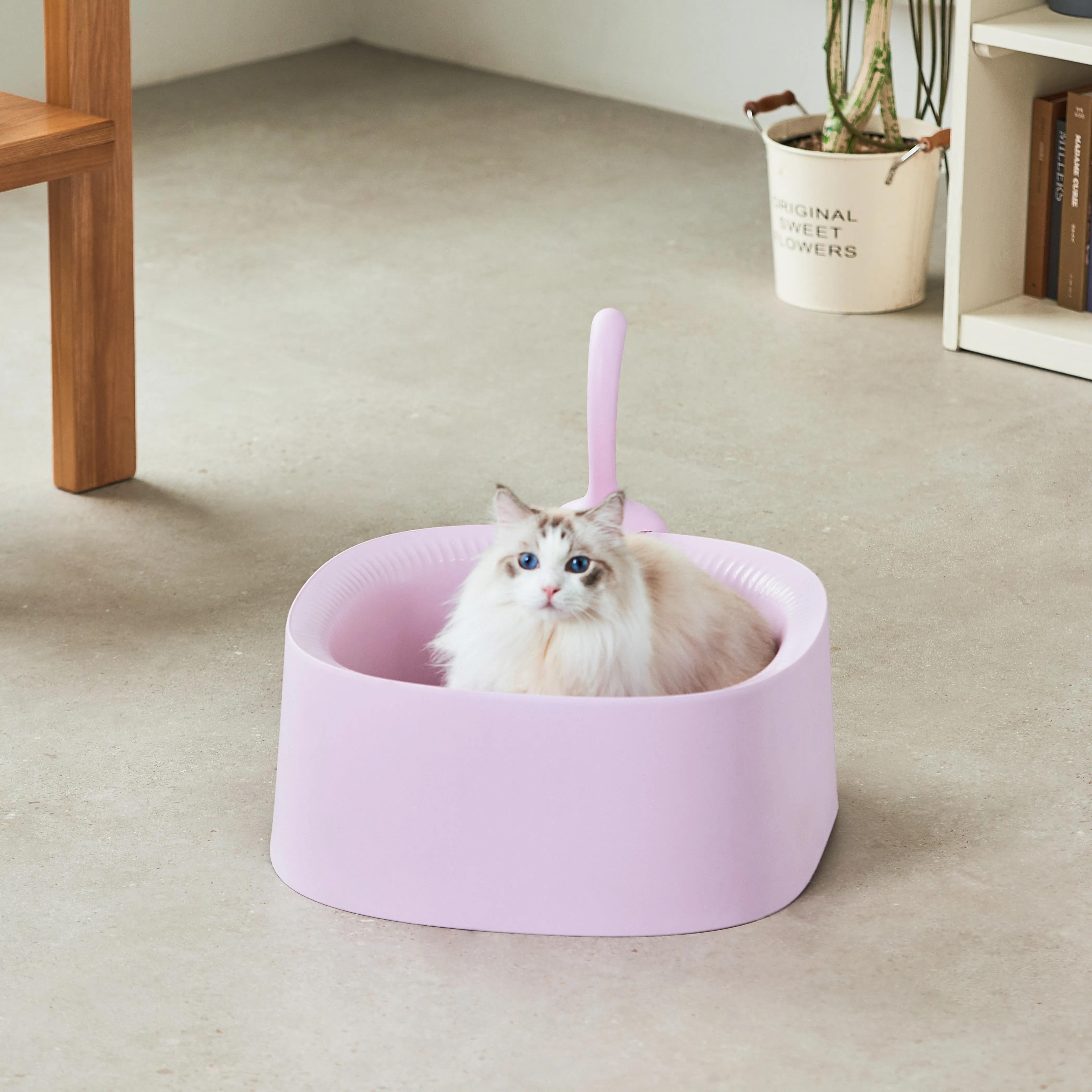 Michu Macaron Open High Edge Extra Large Cat Litter Box Taro