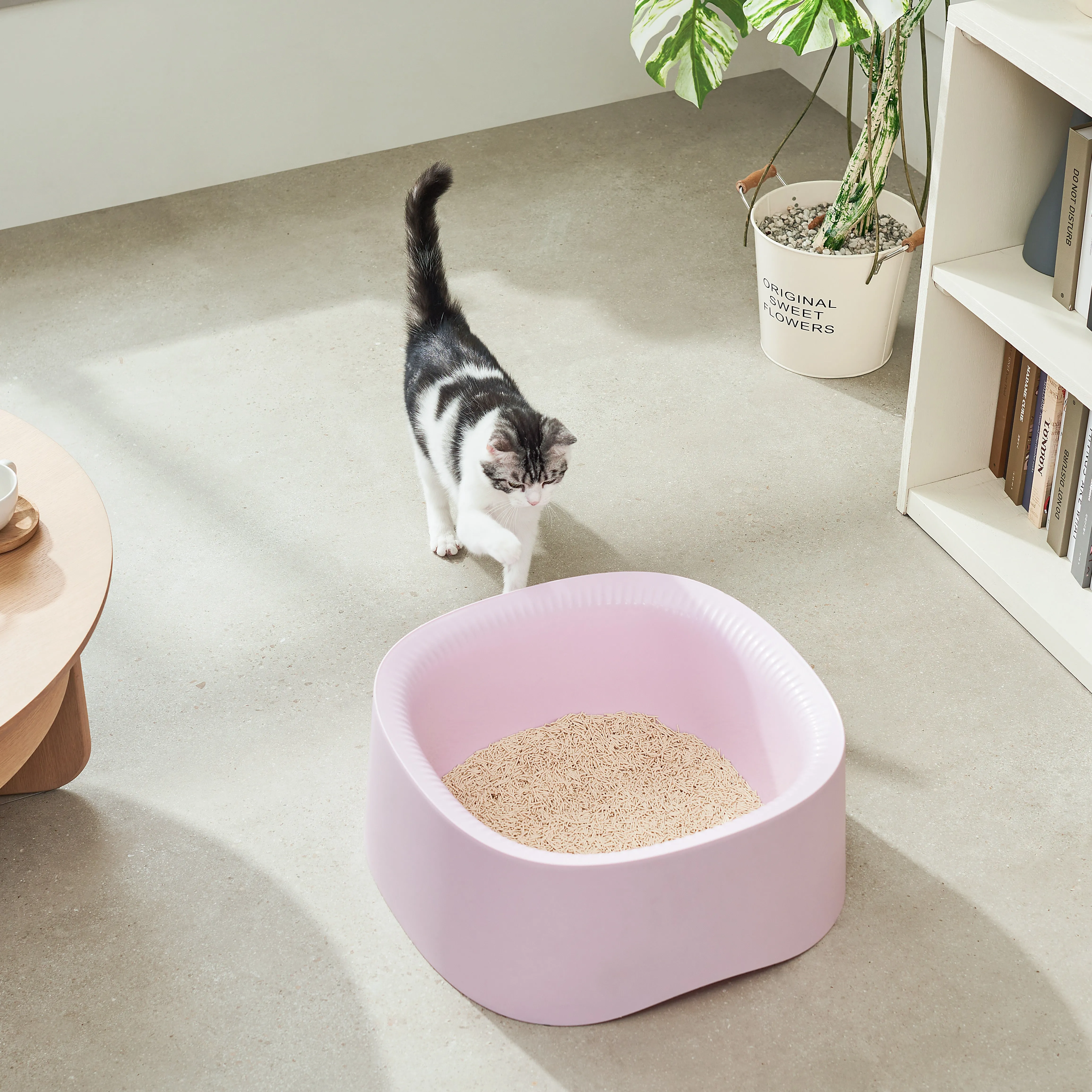 Michu Macaron Open High Edge Extra Large Cat Litter Box Taro