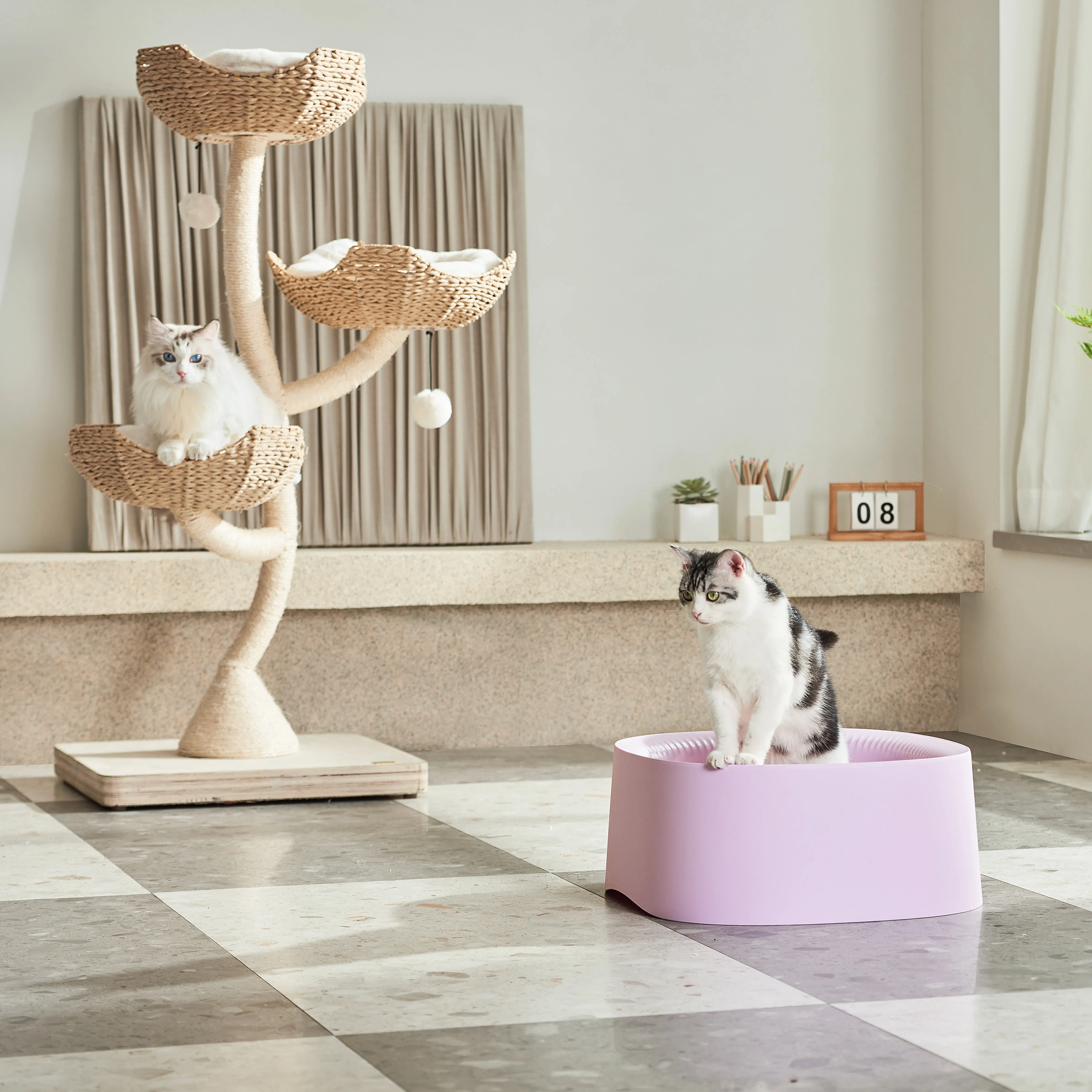 Michu Macaron Open High Edge Extra Large Cat Litter Box Taro