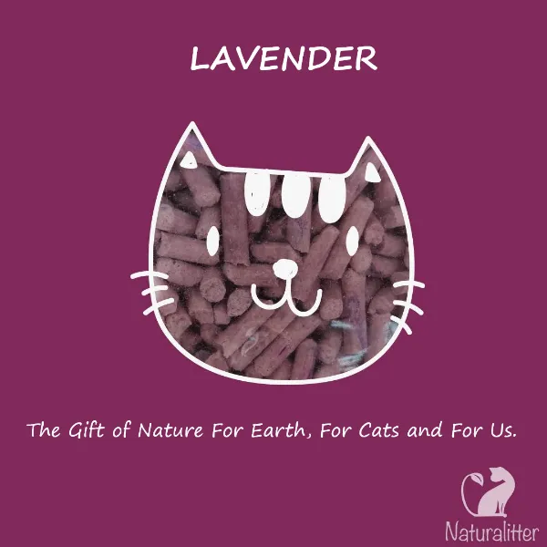 Naturalitter Bio Plant Cat Litter; Lavender
