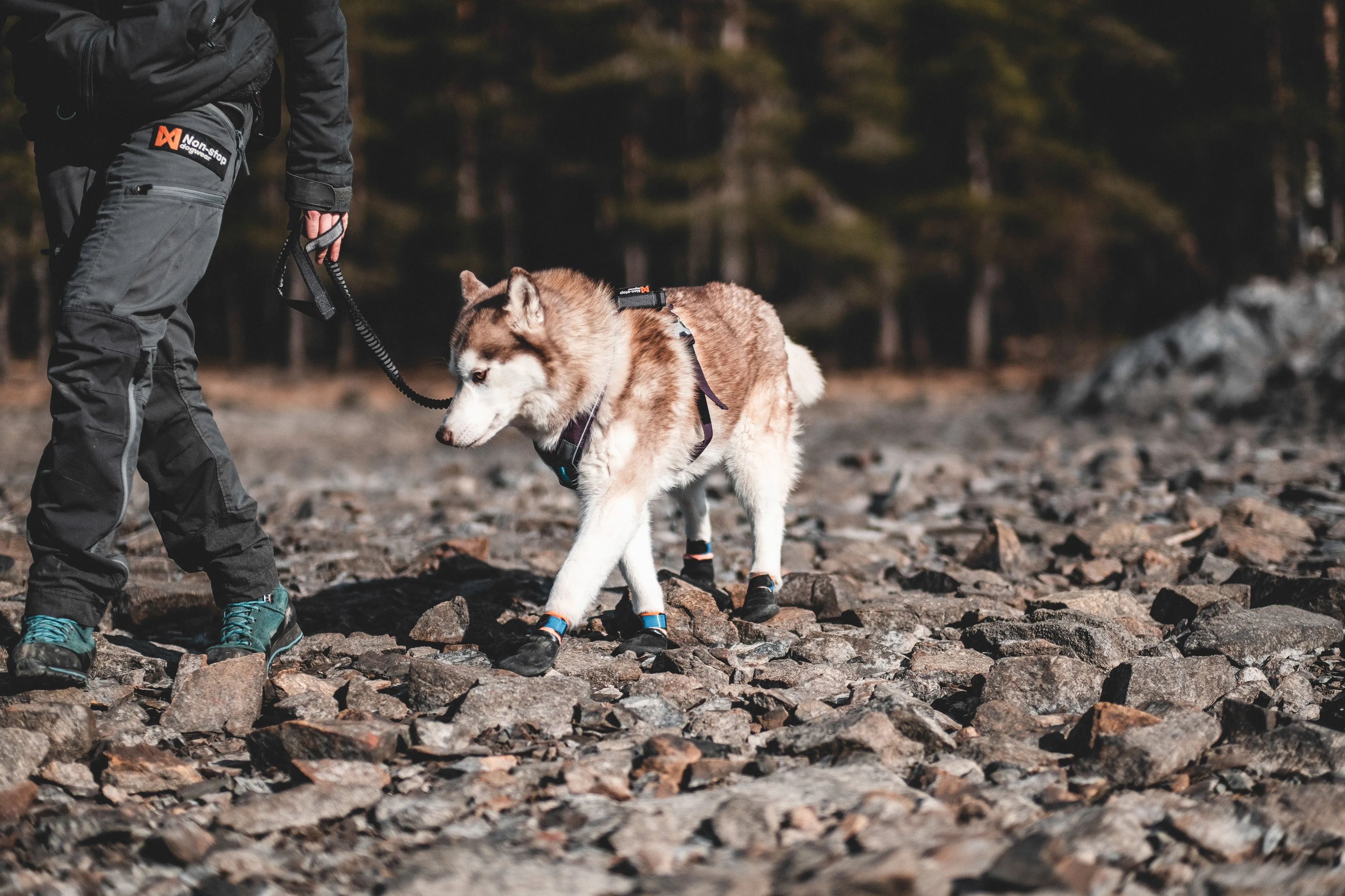 Non-Stop Dog Wear, Protector Booties