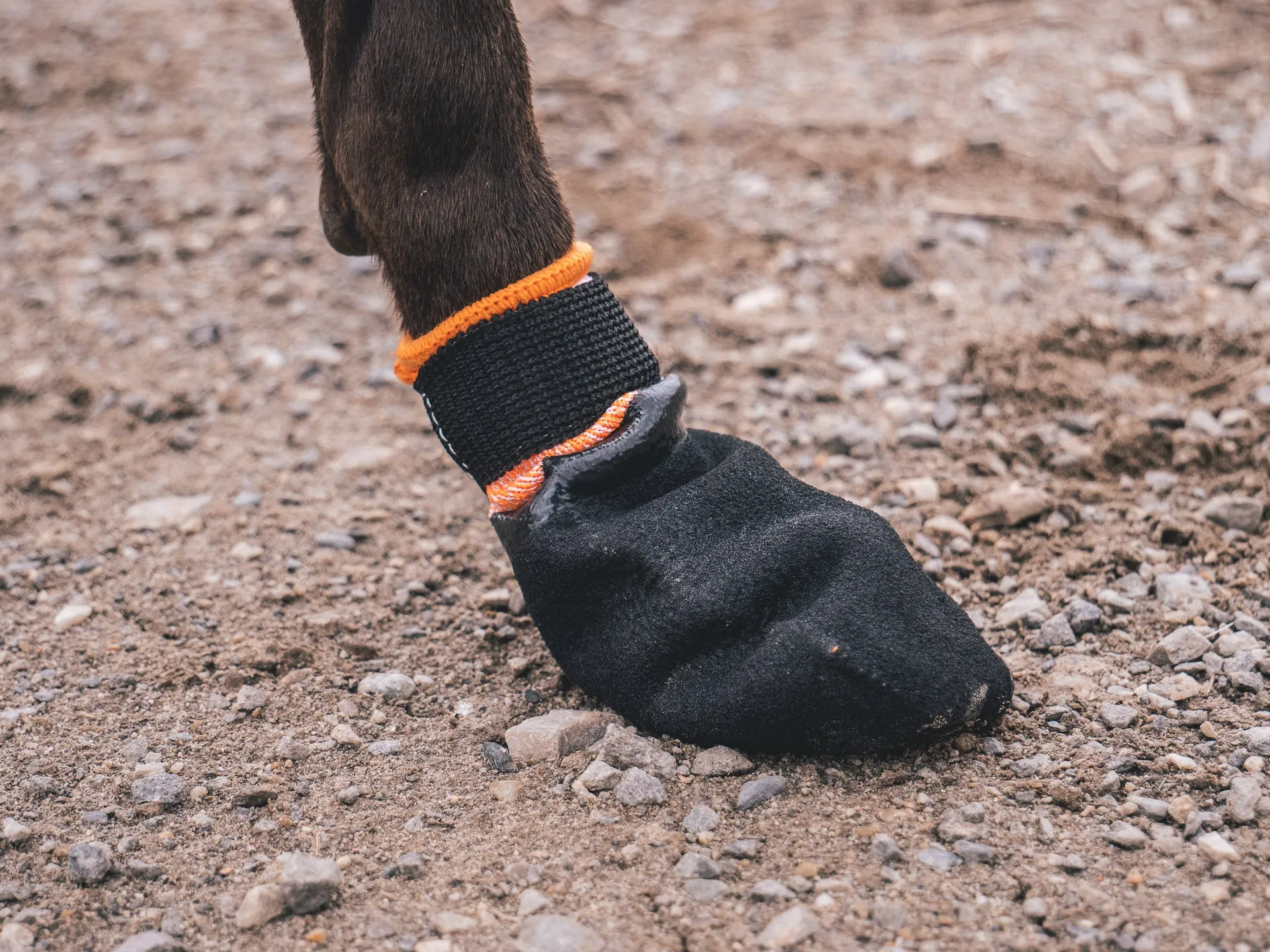 Non-Stop Dog Wear, Protector Booties