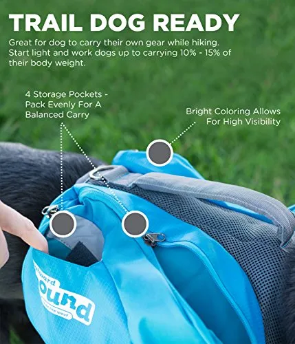 Outward Hound DayPak Blue Dog Saddleback Backpack, Large