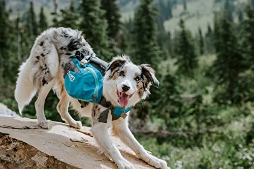 Outward Hound DayPak Blue Dog Saddleback Backpack, Large