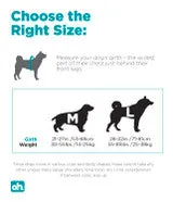 Outward Hound - DayPak Saddleback Dog Backpack