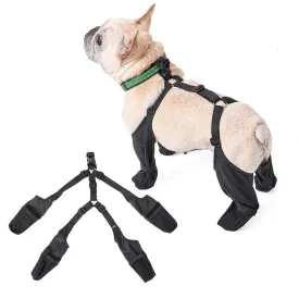 PawGuard French Bulldog Footwear Soft and Stylish Paws Protector