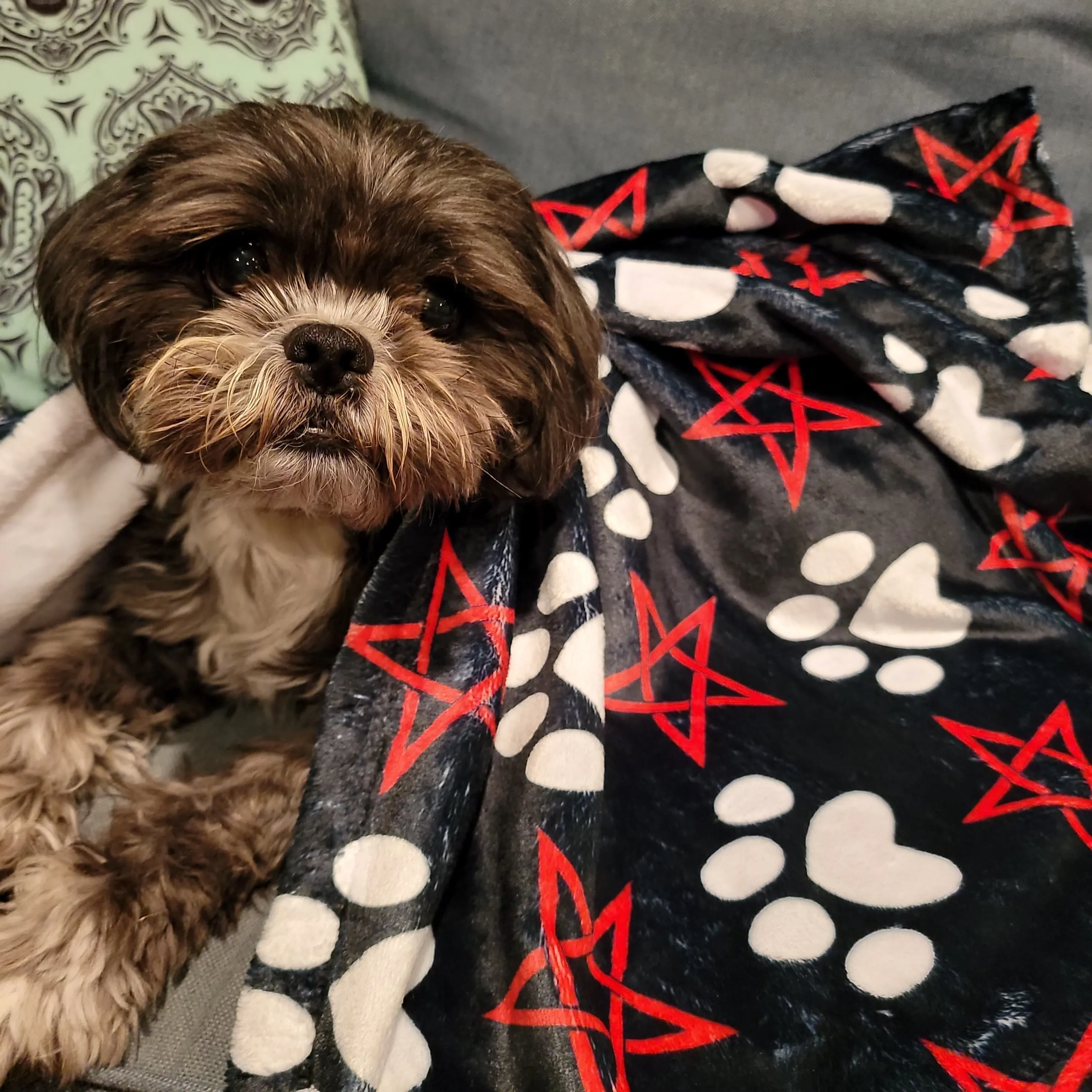 Pentagram & Paw Minky Blanket - Red
