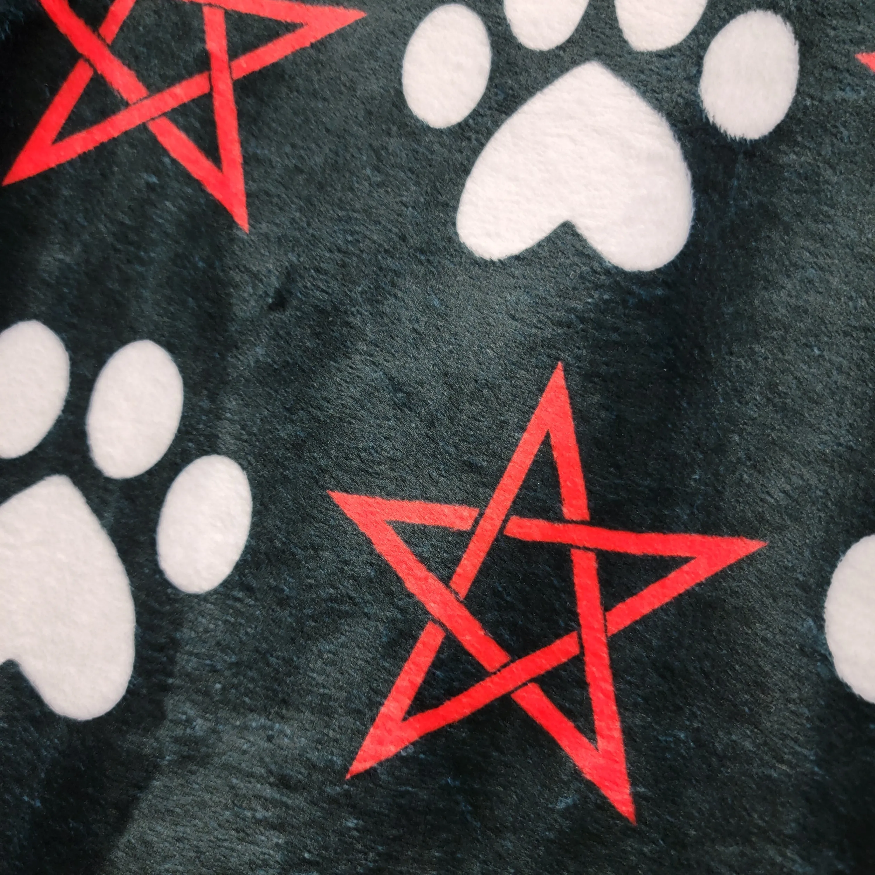 Pentagram & Paw Minky Blanket - Red