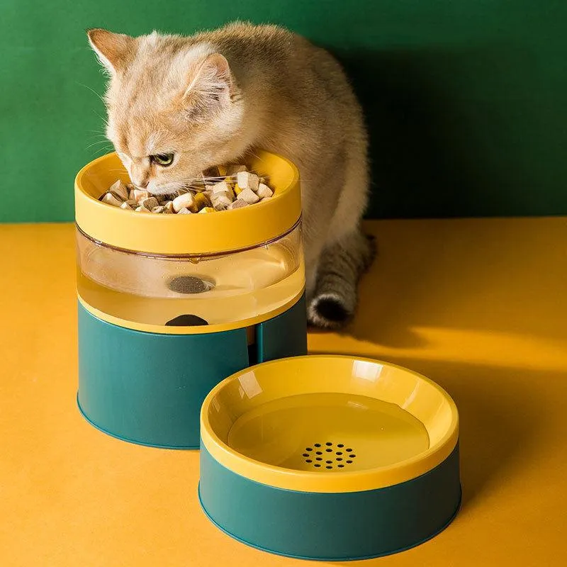 Pet Bowl