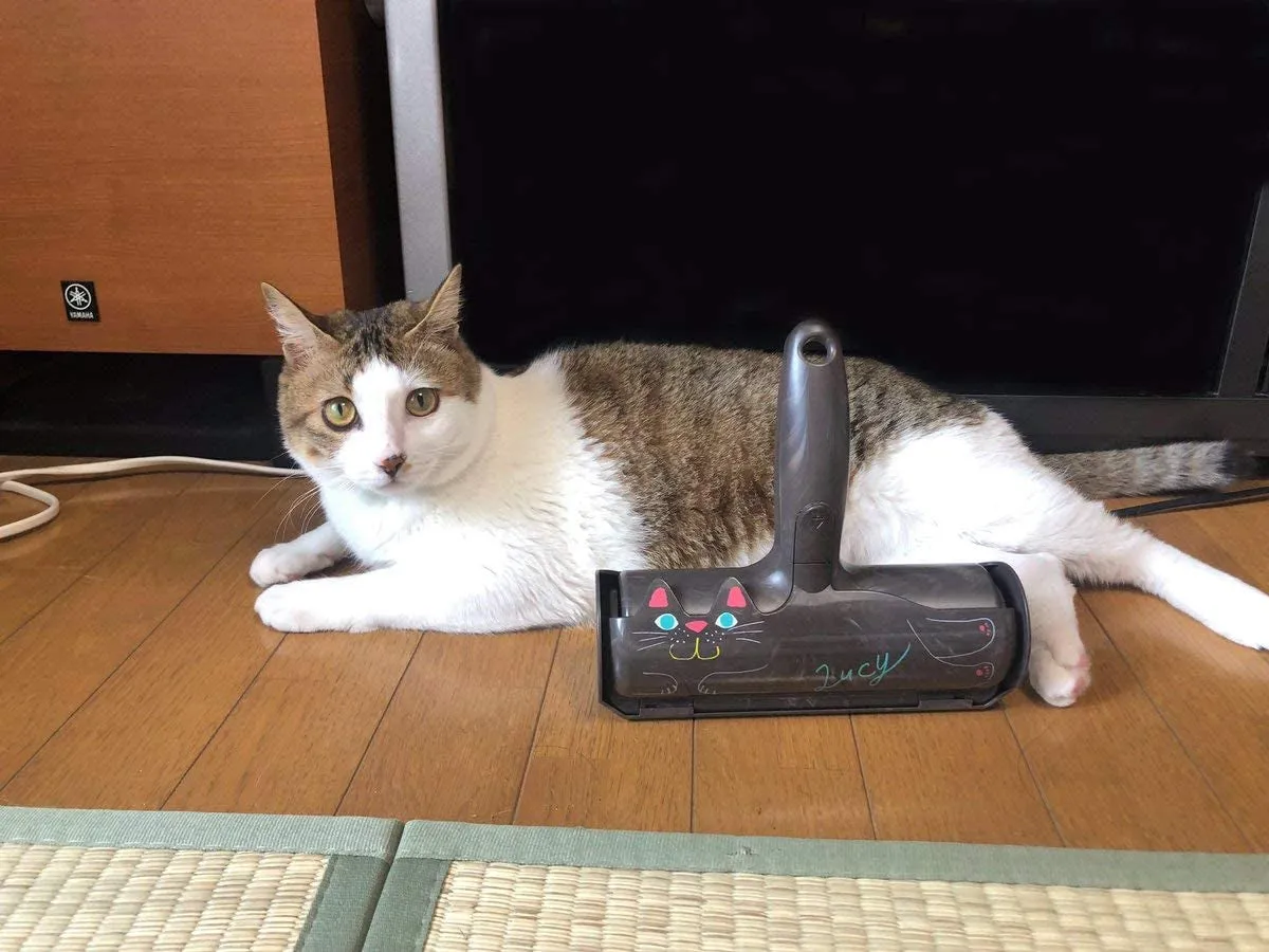 Pet Hair Remover Roller