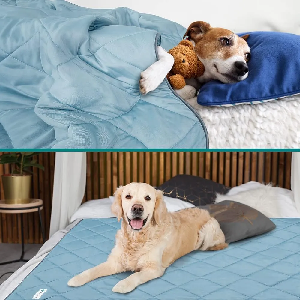 PetAmi Premium Cooling Dog Blanket | Lightweight Fluffy Pet Throw Blanket Bed Cover for Dogs, Cat, Puppies | Pet Blanket Furniture Protector Couch Sofa | Reversible Fuzzy Cozy | 24x32, Dusty Blue