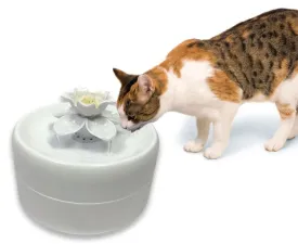 Pioneer Pet Smart Cat Magnolia Fountain
