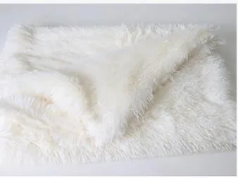 Plush Pet Blanket