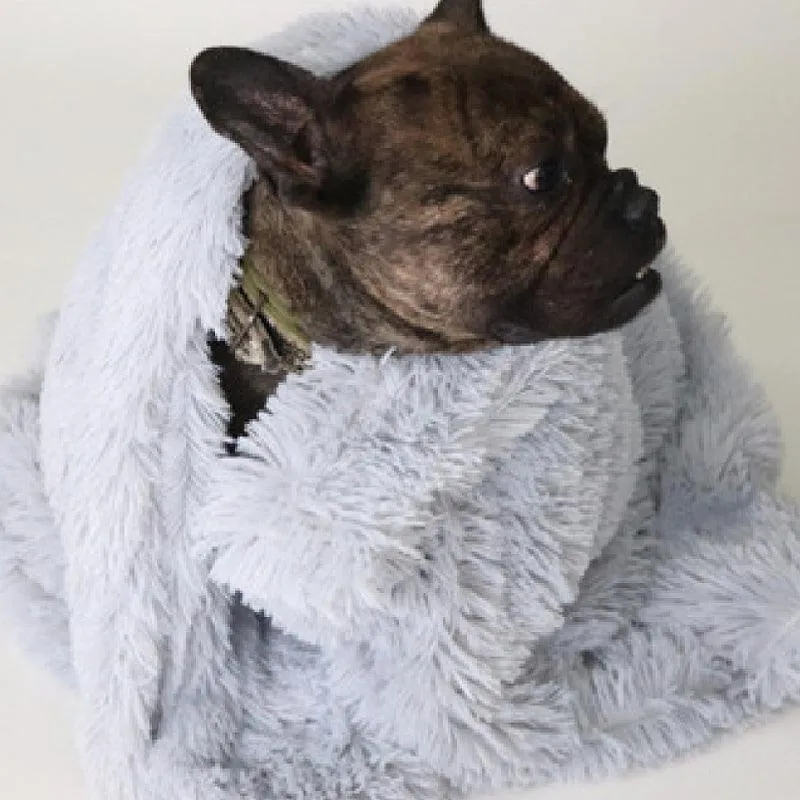 Plush Pet Blanket