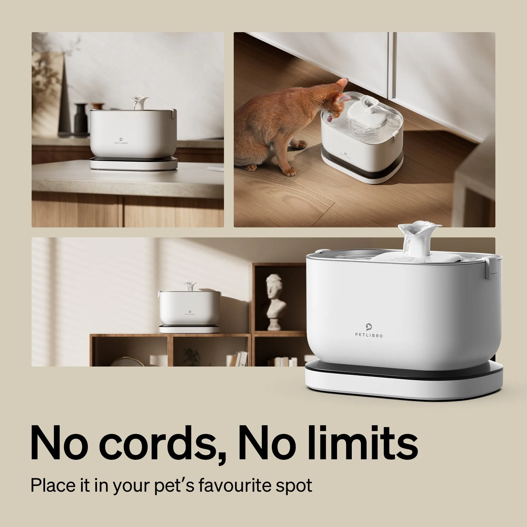 Polar Wet Food Feeder & Cordless Fountain Bundle