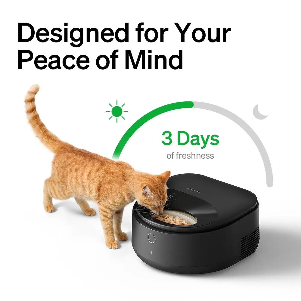 Polar Wet Food Feeder & Cordless Fountain Bundle