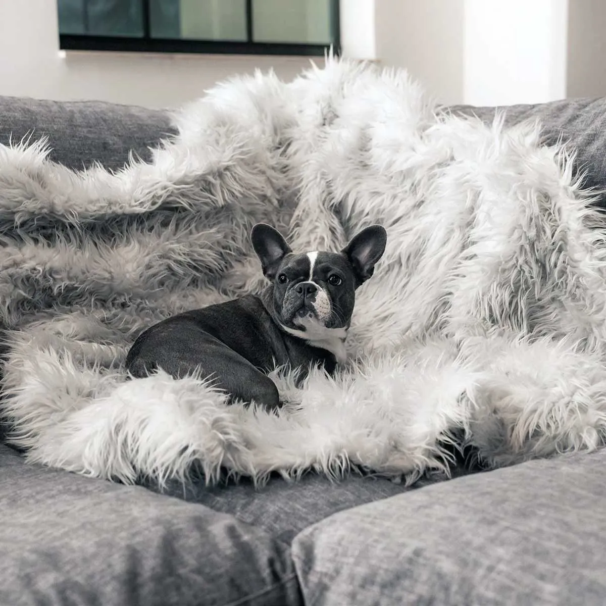 PupProtector Waterproof Throw Blanket - Lt Gray Faux Fur
