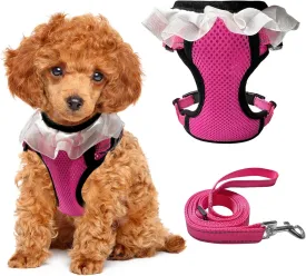 Small Dog Harness with Puppy collers Medium Size for no Pull Large cat Vest Easy Walk Kitten Leash with Handle Set Training for pet Correa para Perros Dachshund Reflective for car.(Rose red, S)