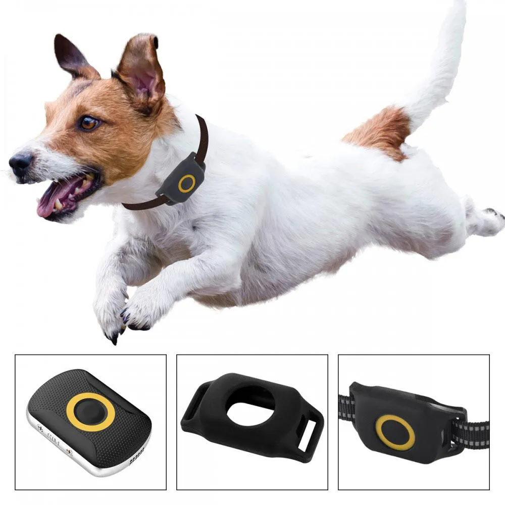 Tech 4 Pets 4G Smart Pet Tracker