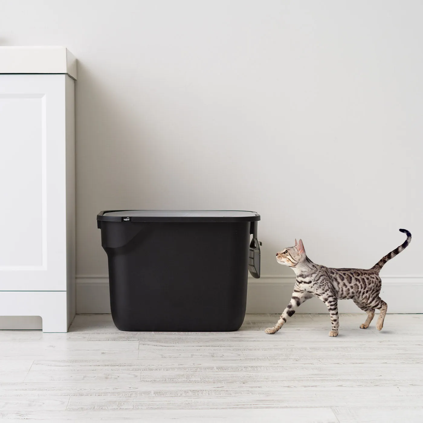 Top Entry Cat Litter Box with Scoop, Black