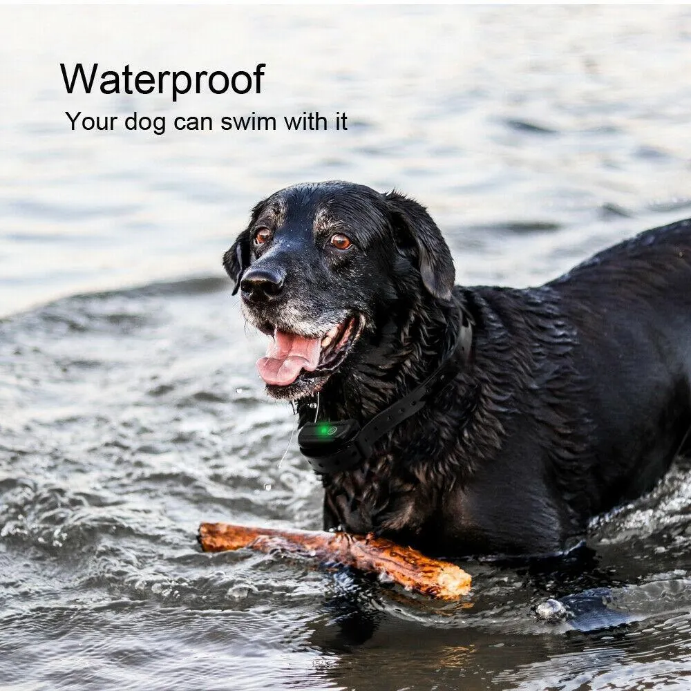 TranStar® Wireless Dog Fence
