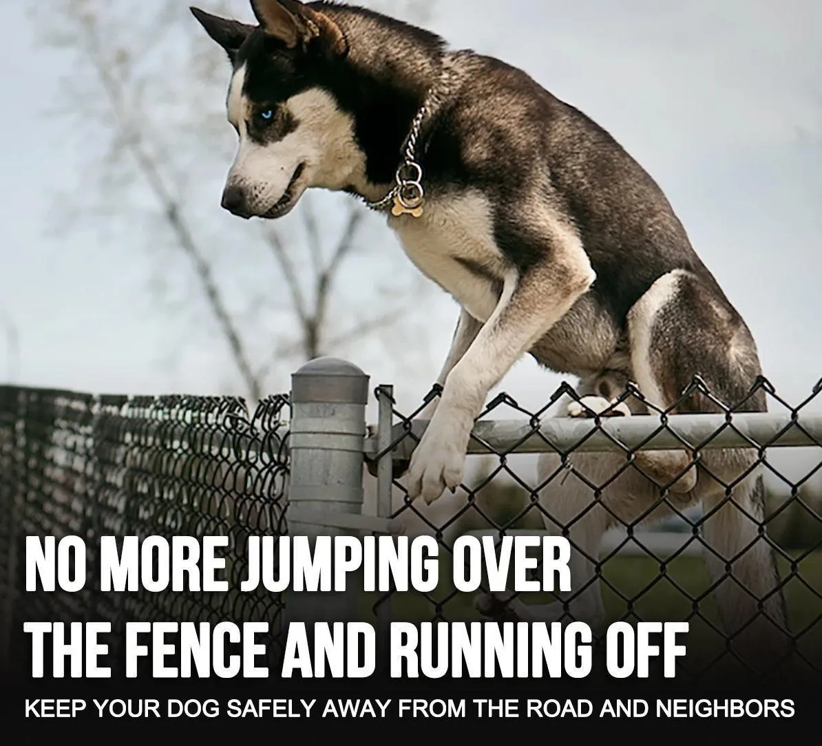 TranStar® Wireless Dog Fence